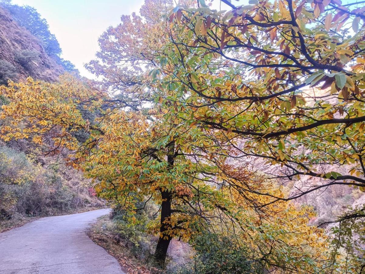 Casa De Cata Lägenhet Guejar Sierra Exteriör bild